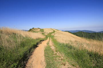 愛媛県四国中央市　塩塚高原の風景