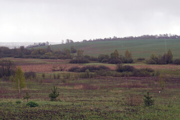 field
