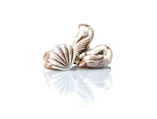 Chocolate candy in the form of sea shells on white table with reflection isolated on white background