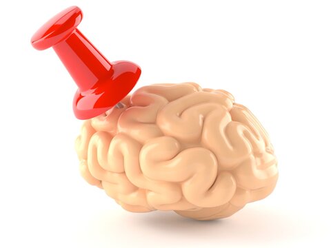 Brain with thumbtack isoalted
