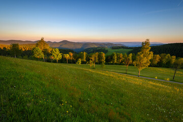 Schwarzwald