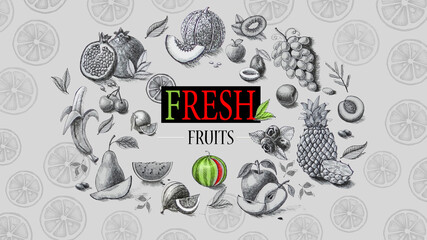 Organic food. Fresh fruits. Pencil drawing.