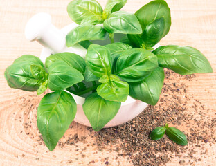 Raw green basil and dried, on the wooden table.
