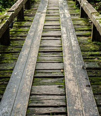 Wooden bridge in tropical rain forest, Jungle landscape