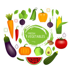 Healthy vegetables such as: carrot, onion, tomato, pepper, eggplant, cucumber, cabbage, pumpkin, watermelon, avocado