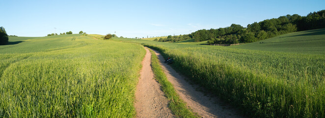  Panorama summer green field landscape with dirt road