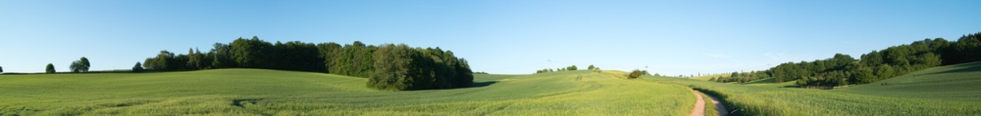 Fototapeta na wymiar Panorama summer green field landscape with dirt road