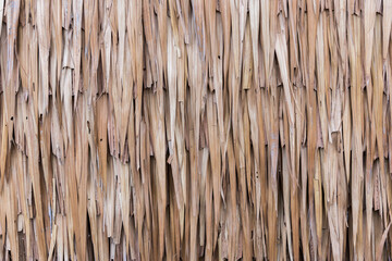 Thatch roof background