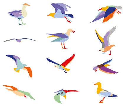 Set of colorful silhouettes of seagulls