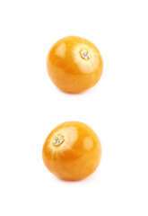 Single physalis fruit isolated