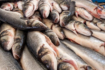 Frischer Fisch auf dem Fischmarkt