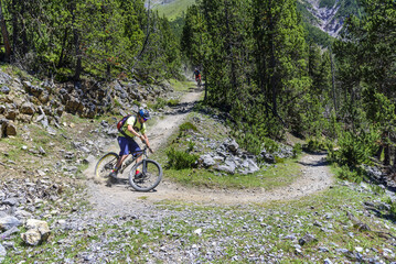 Fototapeta premium rasanter Downhill im Gebirge