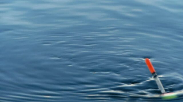 Float on the waves close up