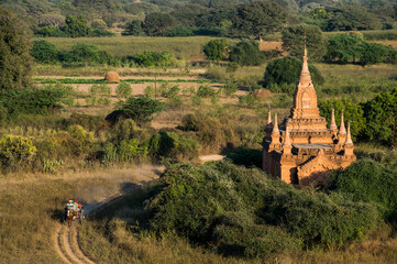 Horse carriage with old pagodas in Bagan Mandalay region, Myanmar (Burmar) - 157142377