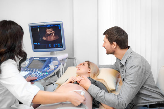 Back view of female doctor screening stomach of woman using special tool and gel. Mom looking at picture of baby. Lovely husband carrying about pregnant wife on procedure of ultrasound in hospital.