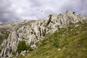 Tulove grede (part of Velebit mountain in Croatia) landscape
