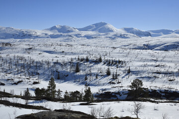 Fototapeta na wymiar View over some of the Swedish mountains near the border to Norway