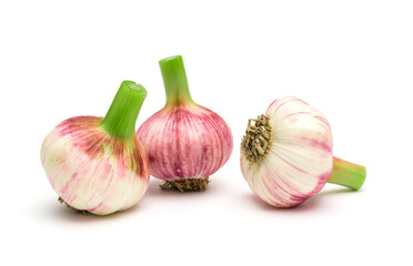 Garlic on a white background