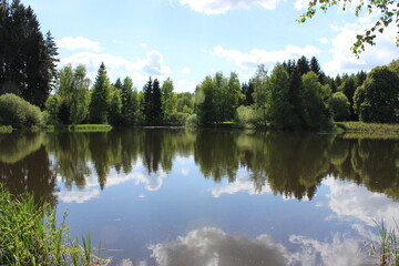Waldlandschaft gespiegelt