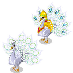 White peacock in precious royal garment. Vector