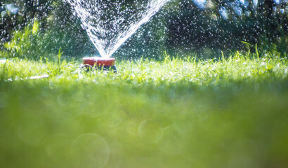 mit einem Wassersprenger wird ein Garten gewässert