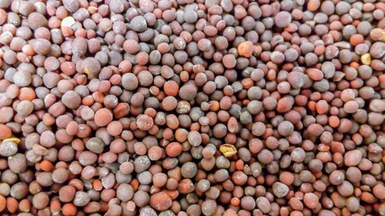 Brown Mustard Seeds
