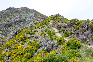 Hiking Landscape at Madeira Portugal 