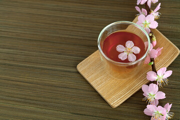 Сup of tea with blossom branch