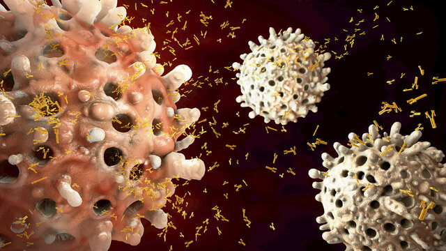 3d illustration of leukocyte seclude antibodies