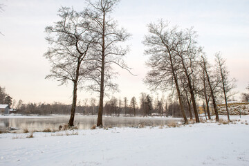 Fototapeta na wymiar Landscape, winter morning in Priozersk, Russia