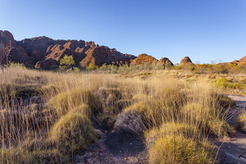 Obraz premium Late afternoon view of the southern face of the Bungle Bungle Massif, Purnululu National Park, Kimberley