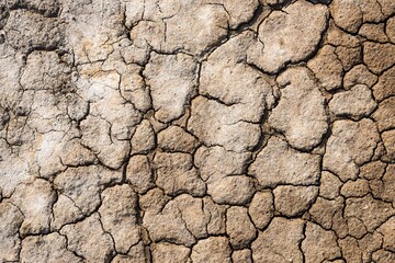 乾燥肌イメージ