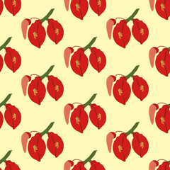 Erythrina flowering plant pattern