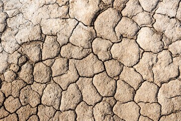 乾燥肌イメージ