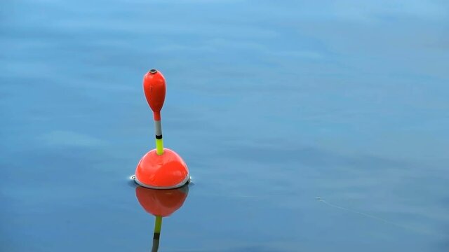 Float on the waves close up
