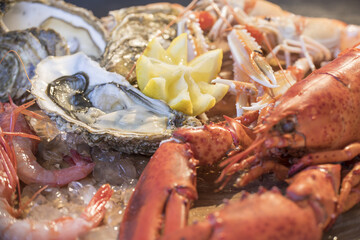 shellfish, seafood, food, ice, shell, sea, raw, and, lemon, gourmet