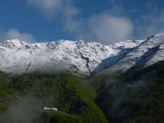 Obraz premium Pyrénées