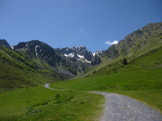 Pyr&eacute;n&eacute;es