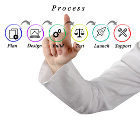 Process of web site development