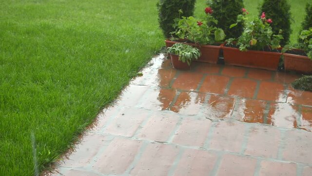 Hard rain falling in a garden on flower pots and a lawn