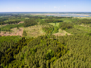 Fototapeta na wymiar drone image. aerial view of rural area with forest and swamp lake
