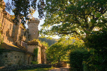 Fototapeta premium Löwenburg