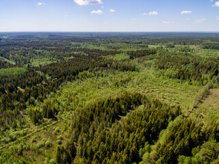 drone image. aerial view of rural area with forest and swamp lake
