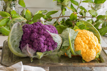 Beautiful colors from the garden! Purple and golden cauliflower - raw, fresh, delicious ingredients...