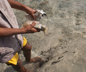 Man holds in his hand alive, just caught, squid