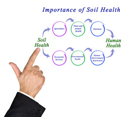 Importance of Soil Health