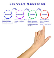 Emergency Management process