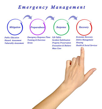 Emergency Management process