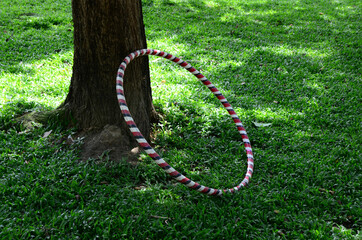 A hula hoop leaning on a trunk in the park © DaisyLiang