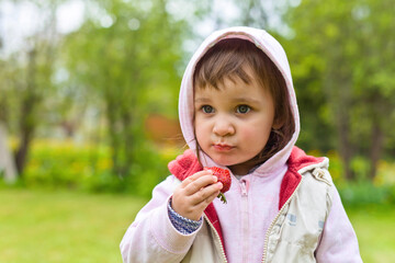 Little girl in a hoodie eating strawberries